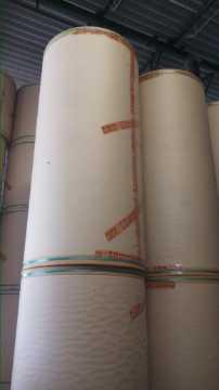 Kraft Board and Duplex Board, Tube Paper, Recycle Pulp